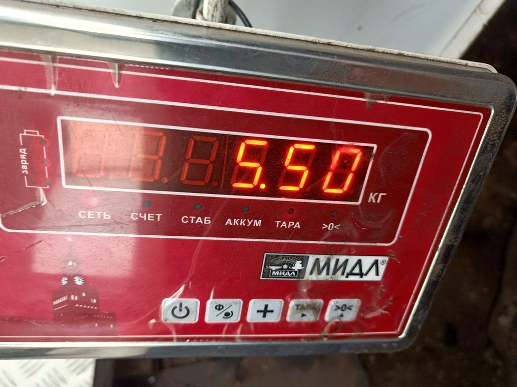 thumb