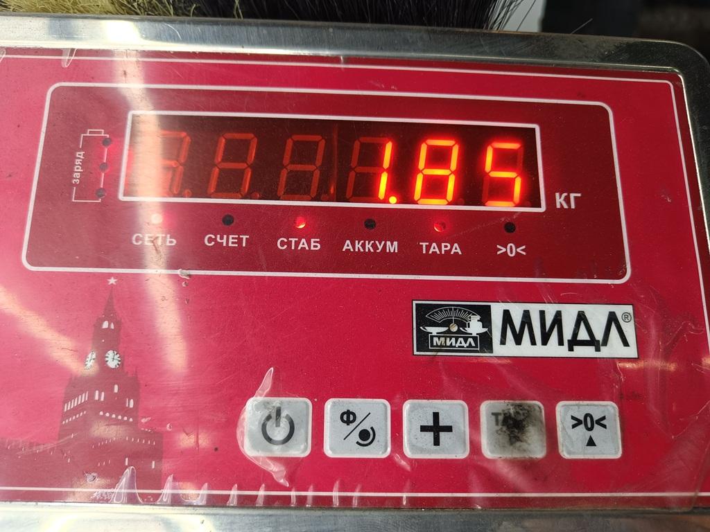 thumb