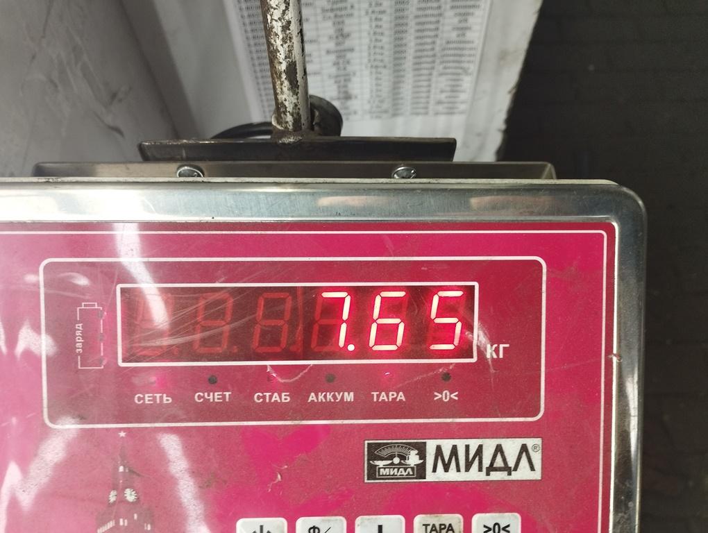 Торпедо