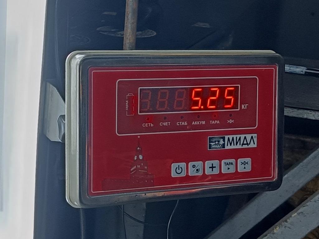 Ступица задняя