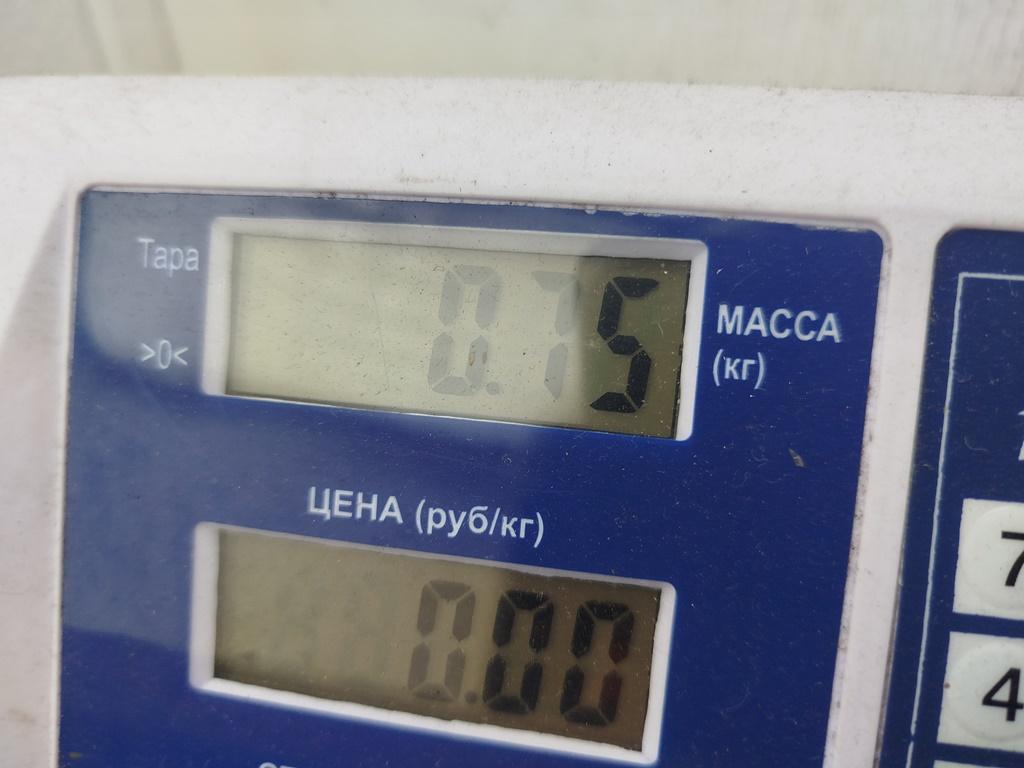Блок управления двигателем