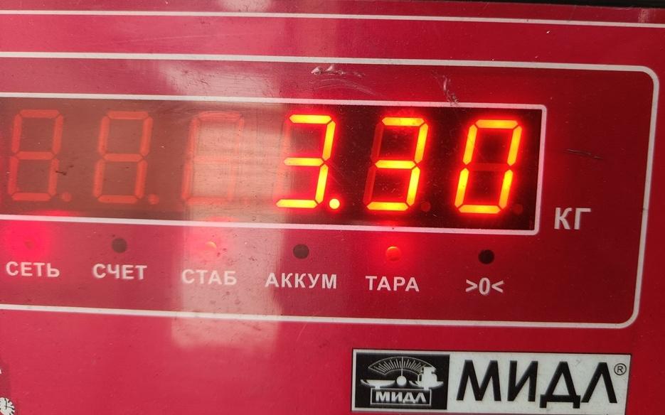 Стартер