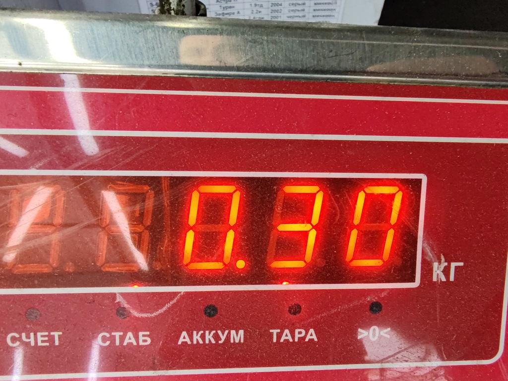 Защита картера