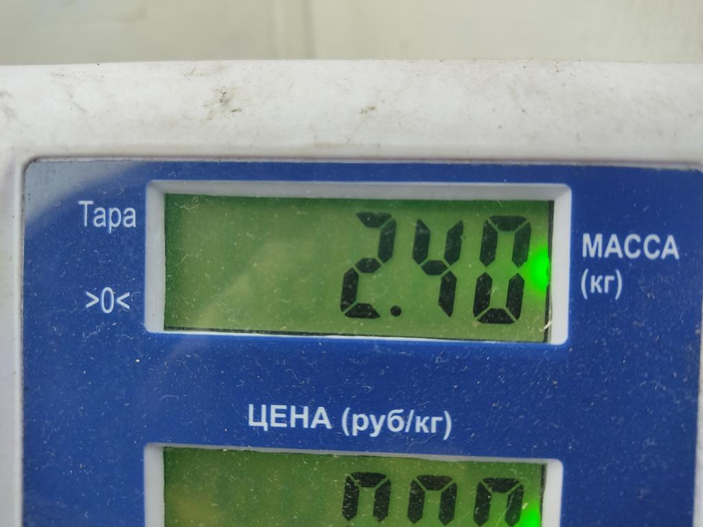 Педаль сцепления