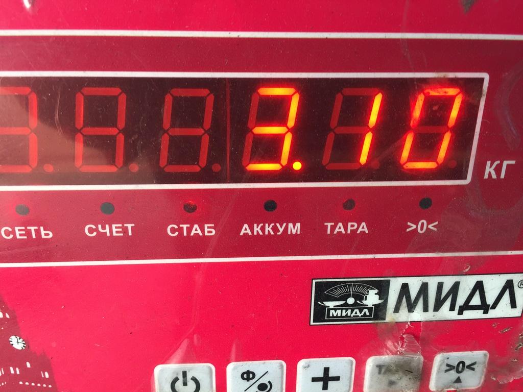 Стартер