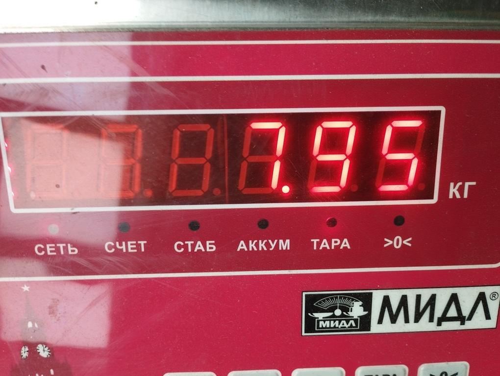 Серводвигатель рулевой рейки