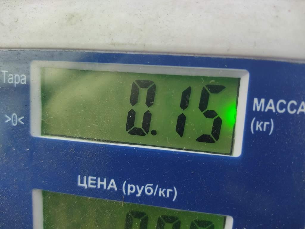 Планка под фару левая