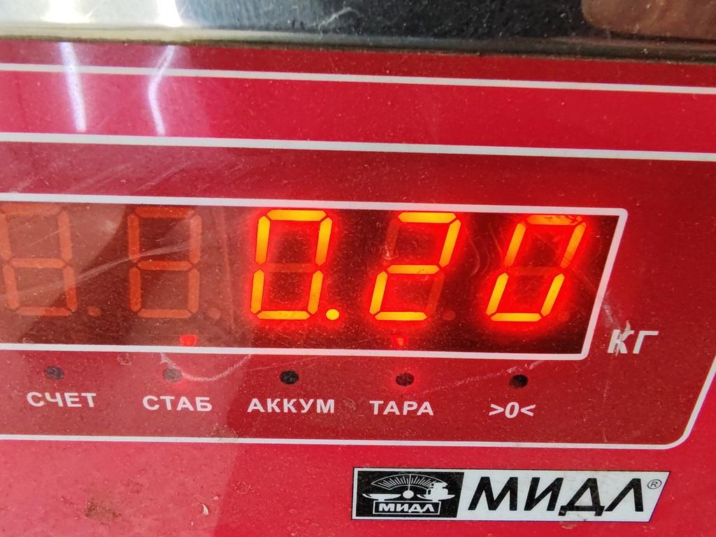 Решетка стеклоочистителей (Жабо)