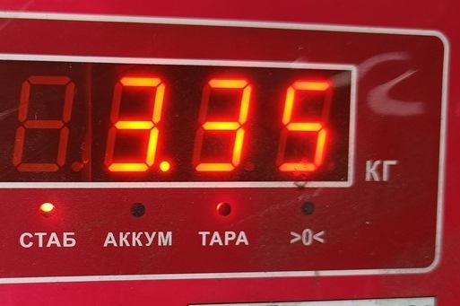 Блок предохранителей