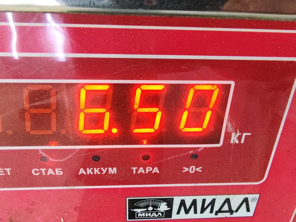 Амортизатор передний правый