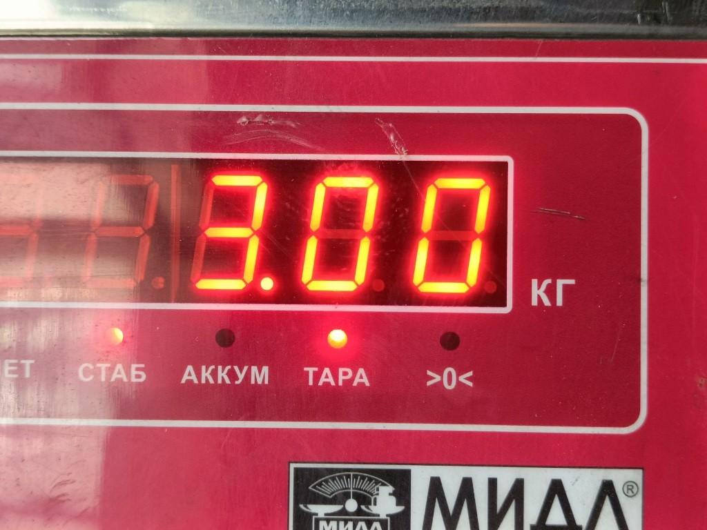 Стартер
