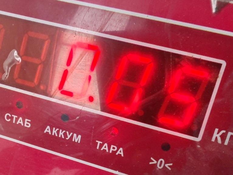 Патрон лампы
