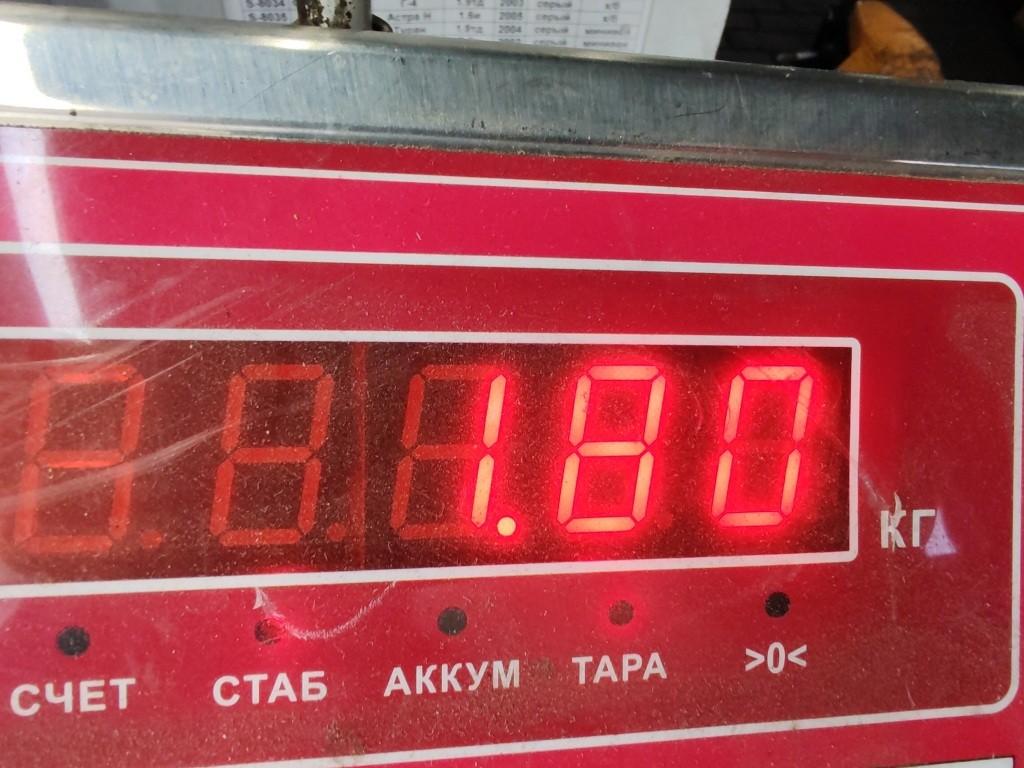 Опора двигателя