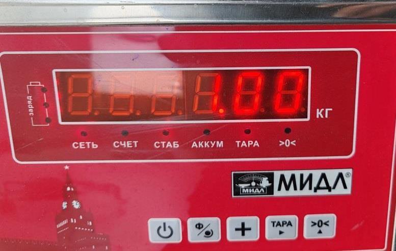 Стеклоподъемник электр. задний левый
