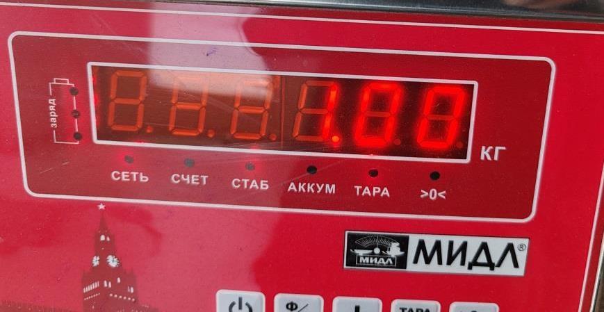 Стеклоподъемник электр. задний правый