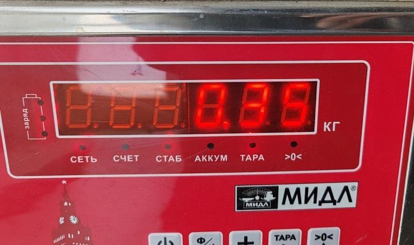 Накладка двери передней правой