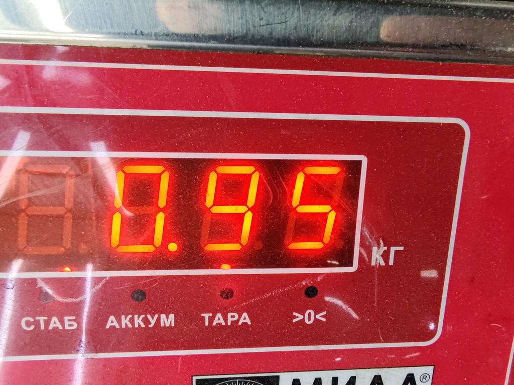 Решетка стеклоочистителей (Жабо)