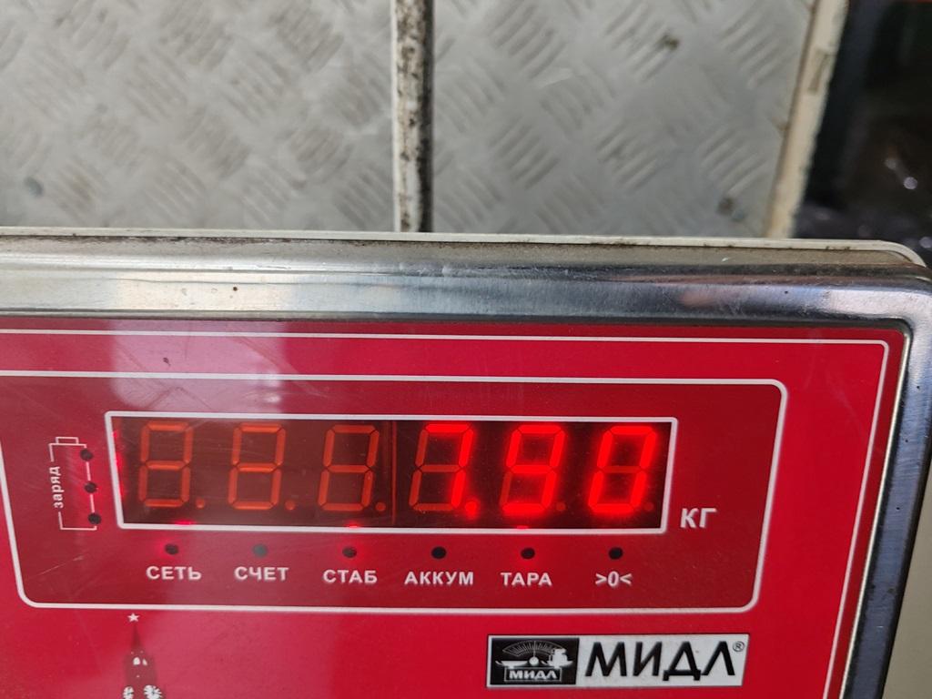 Торпедо