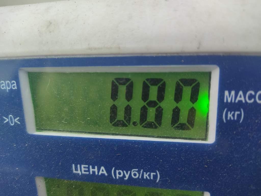 Петля двери