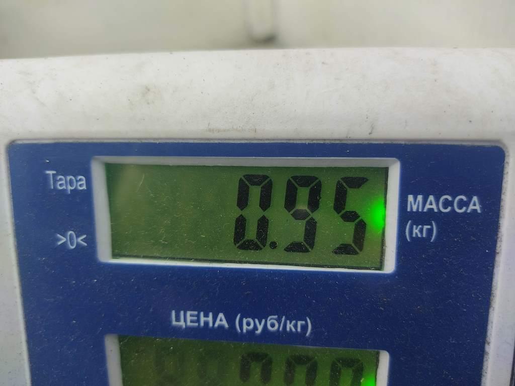 Петля двери