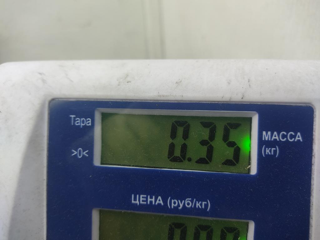 Блок управления двигателем