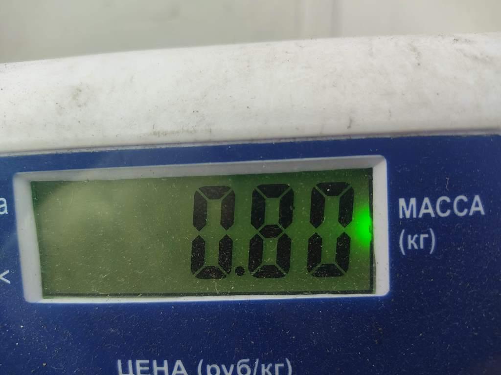 Бачок омывателя лобового стекла