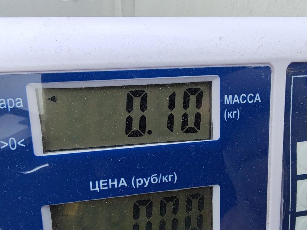 Защита