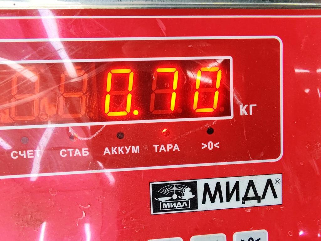 Решетка стеклоочистителей (Жабо)