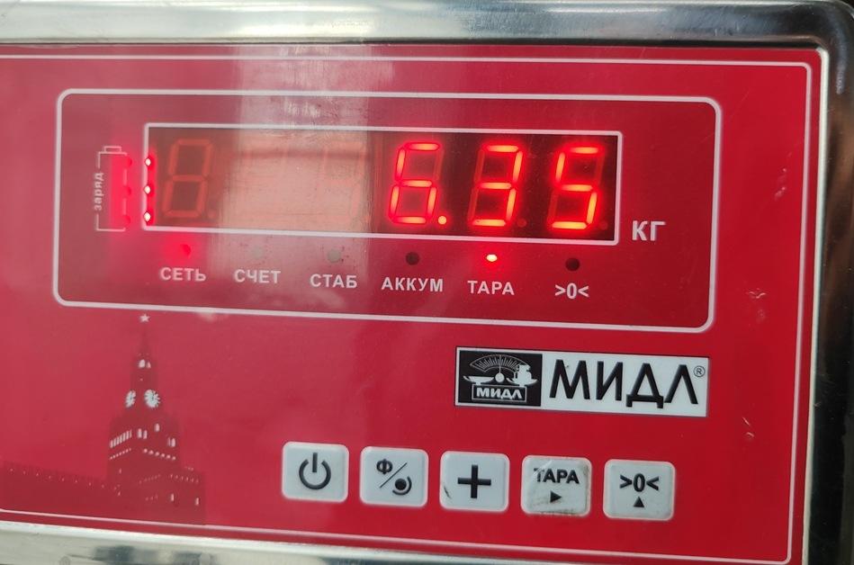 ТНВД (Топливный насос высокого давления)