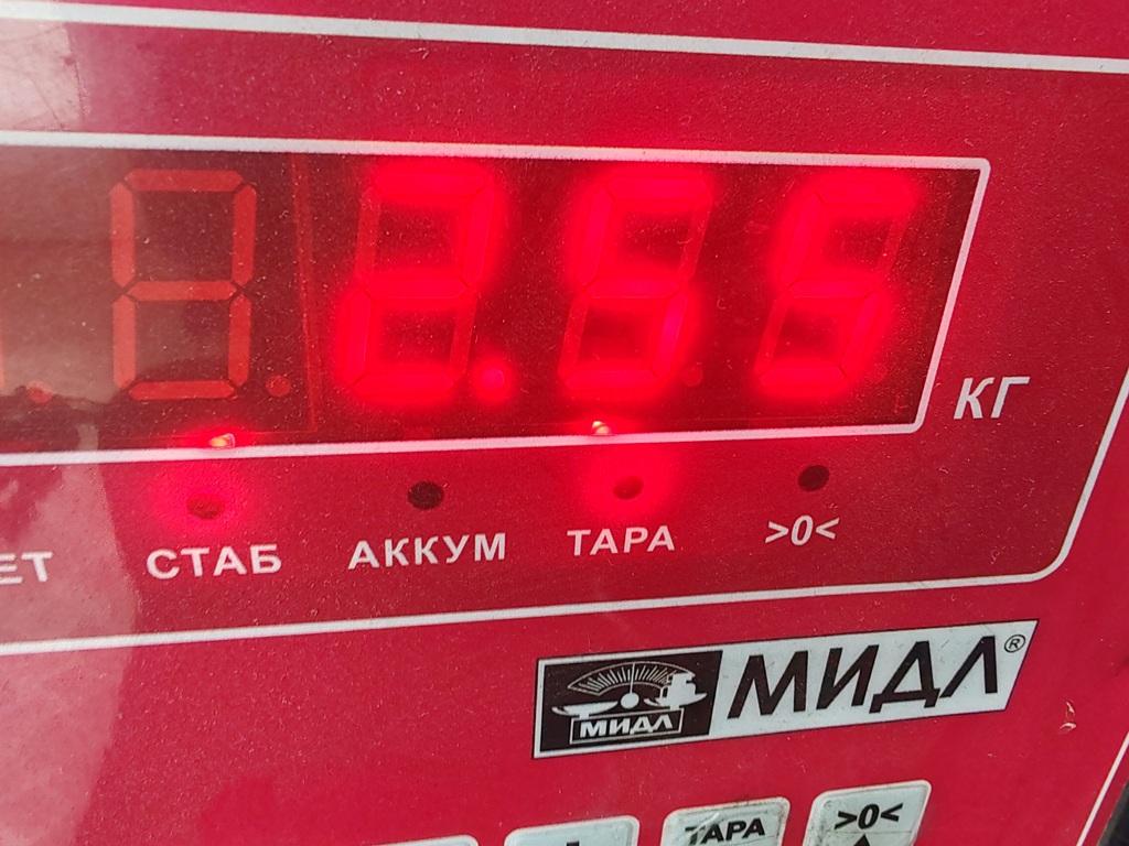 Болт коленвала