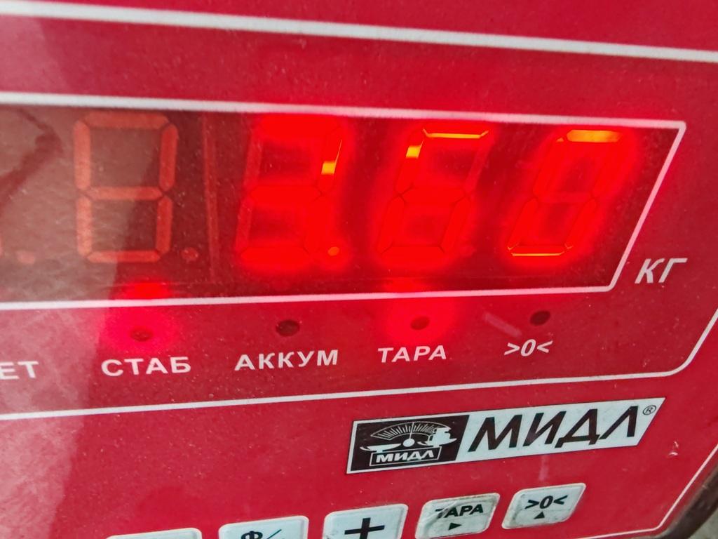 Стабилизатор поперечной устойчивости передний