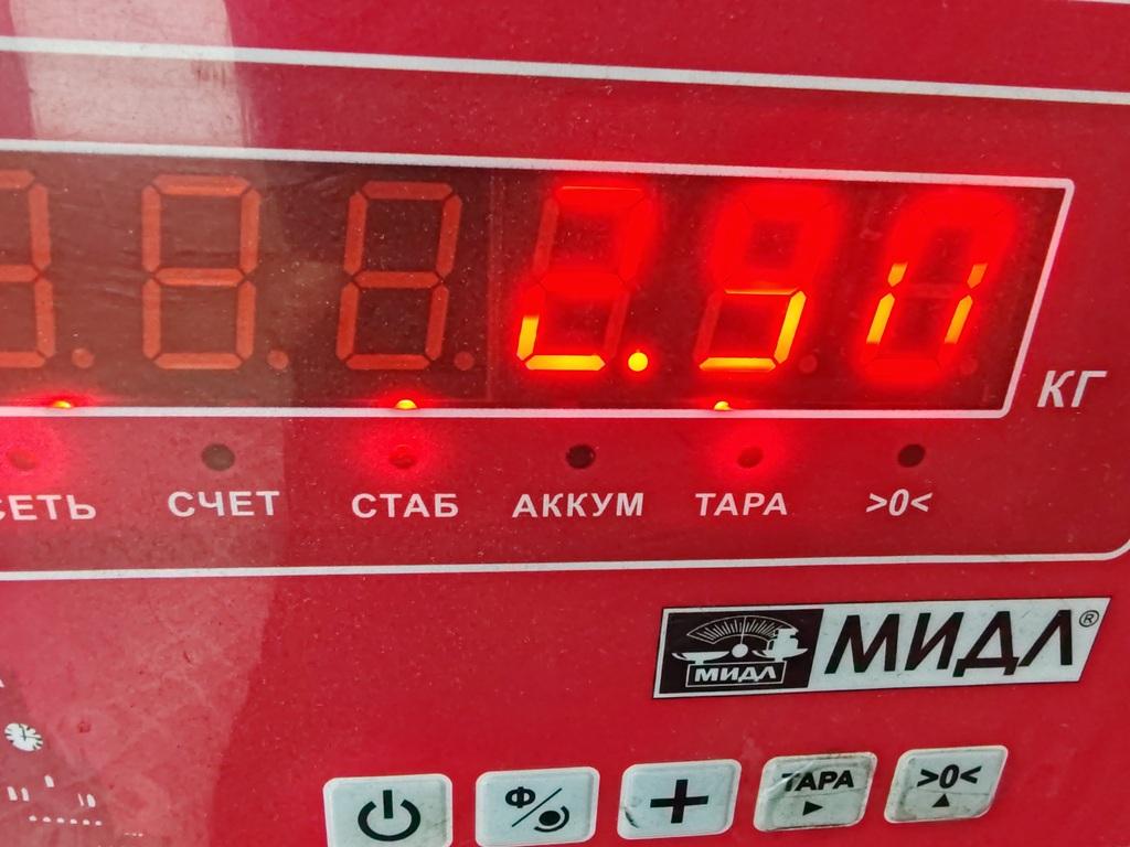 Ступица задняя