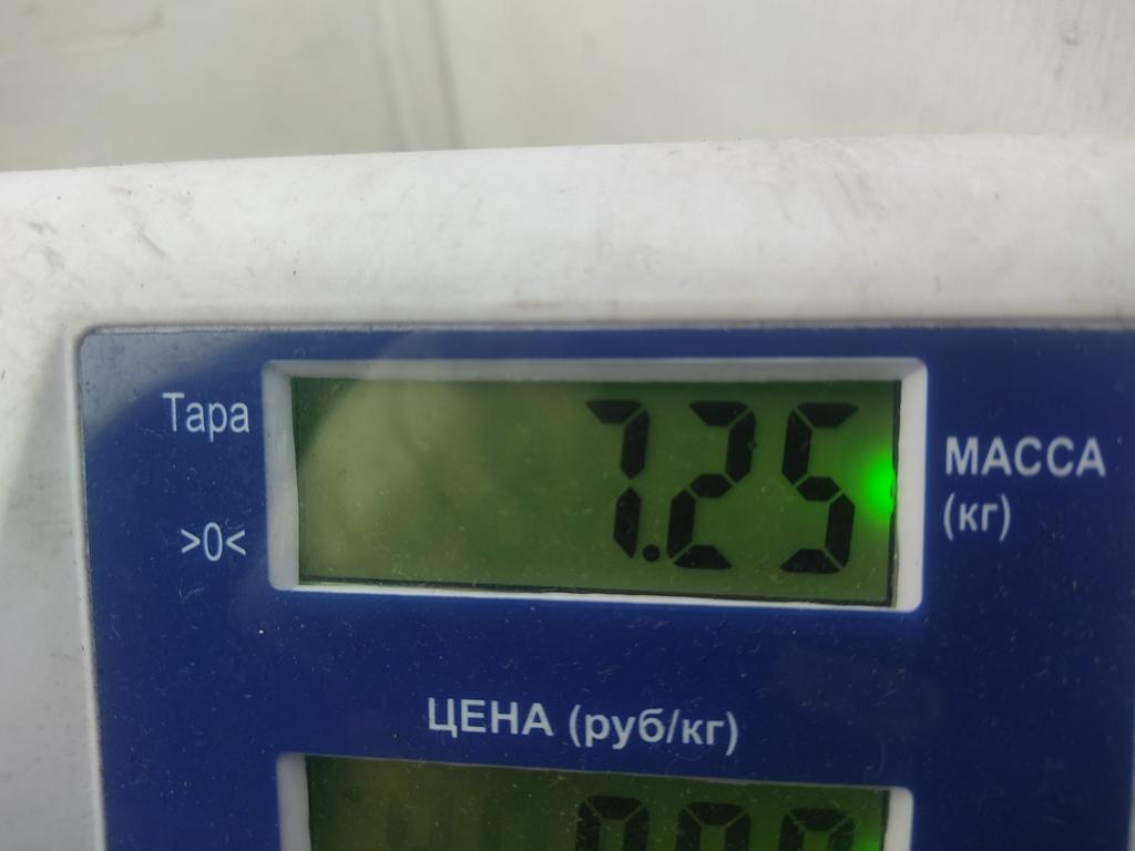 Серводвигатель рулевой рейки
