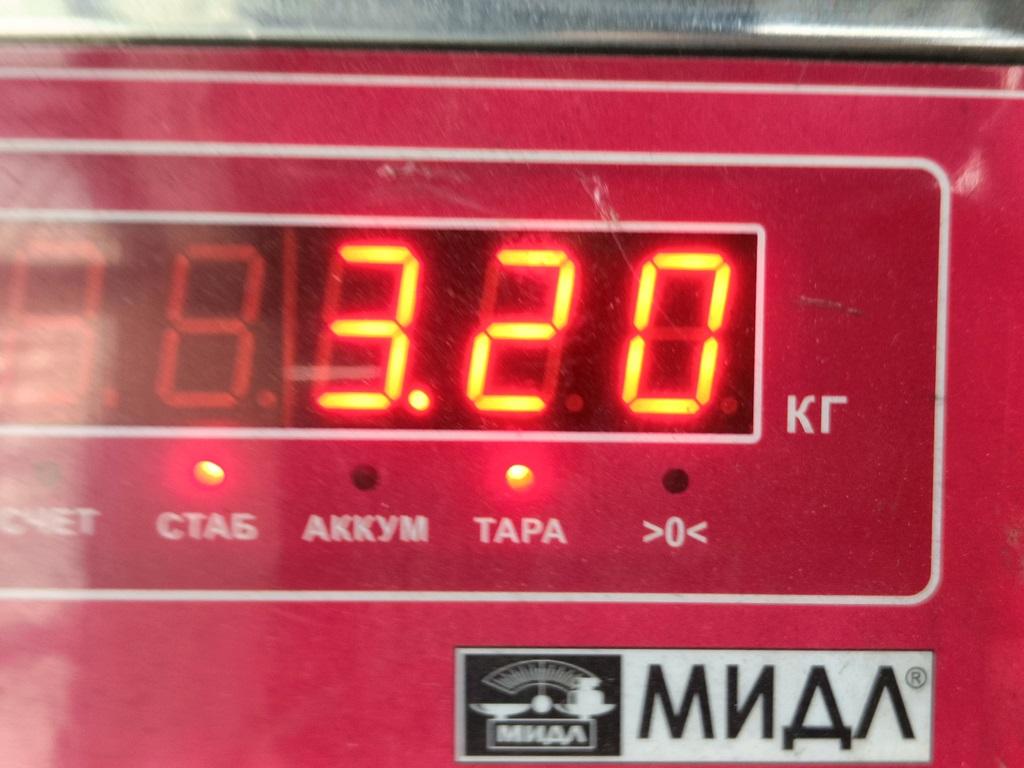 Стартер
