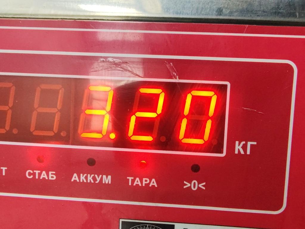 Опора двигателя