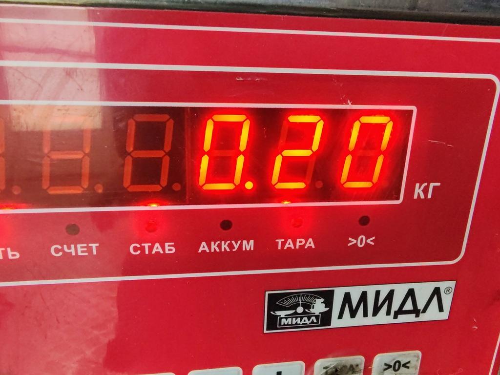 Форсунка инжекторная электрическая