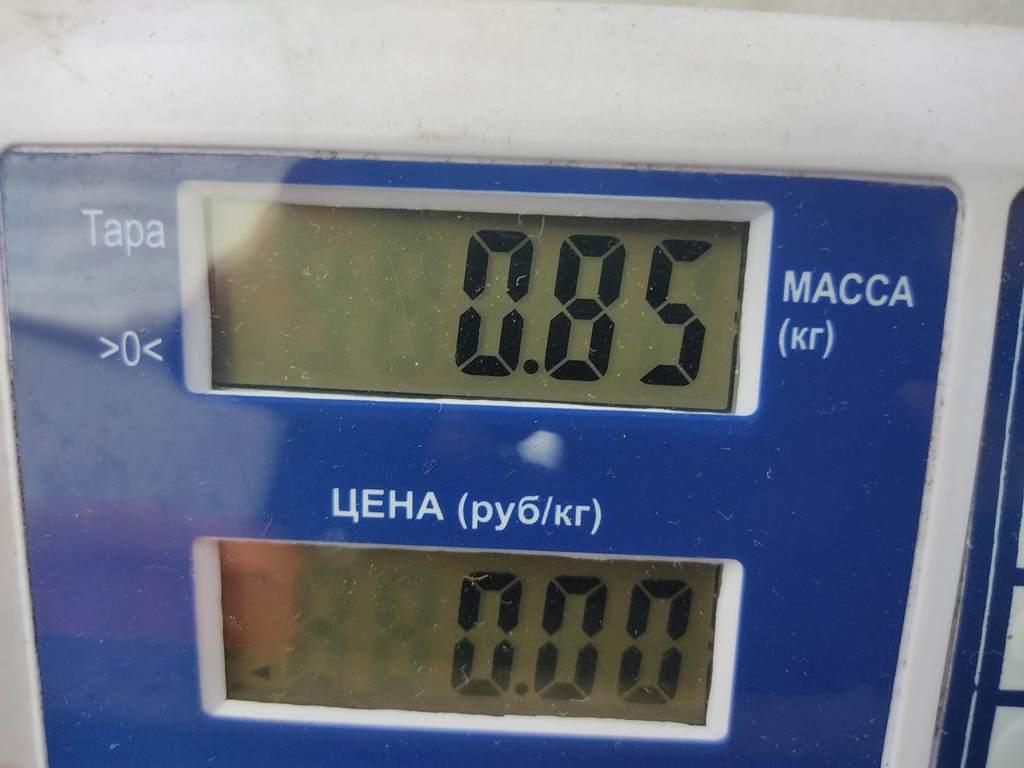 Фонарь задний левый