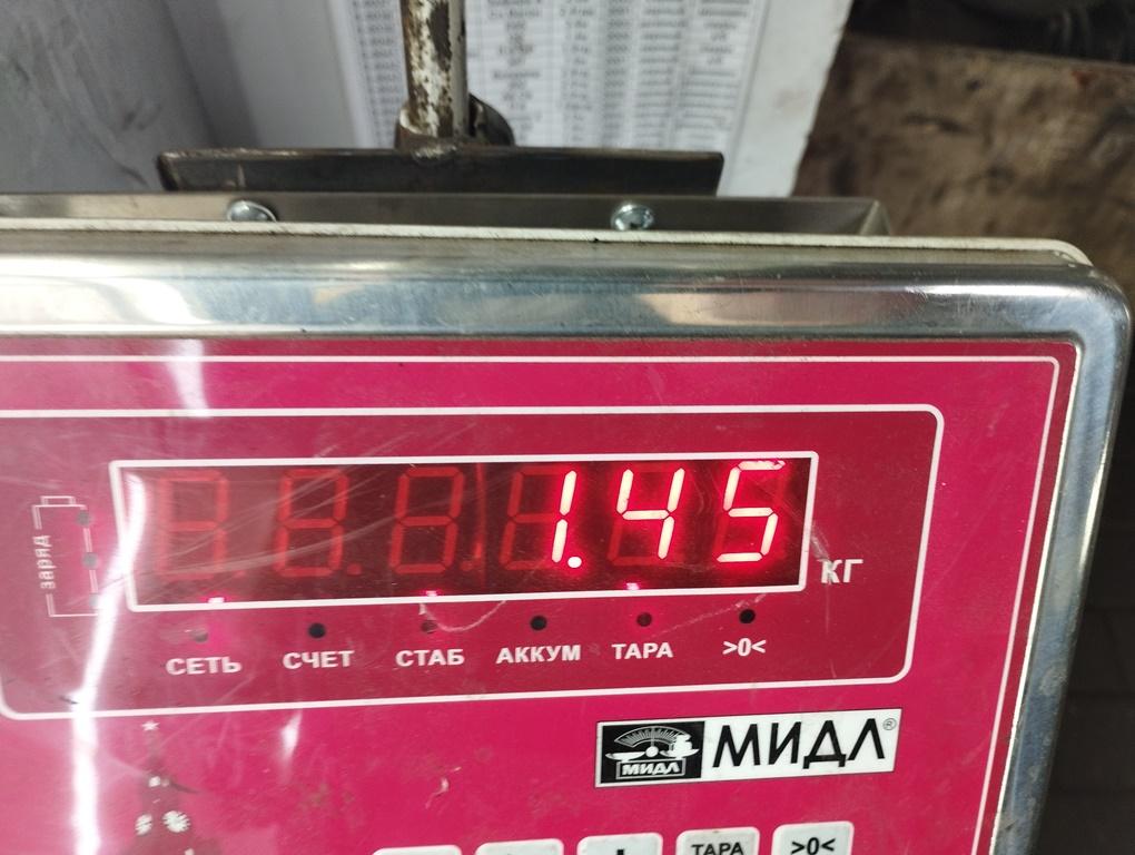 Пружина задняя