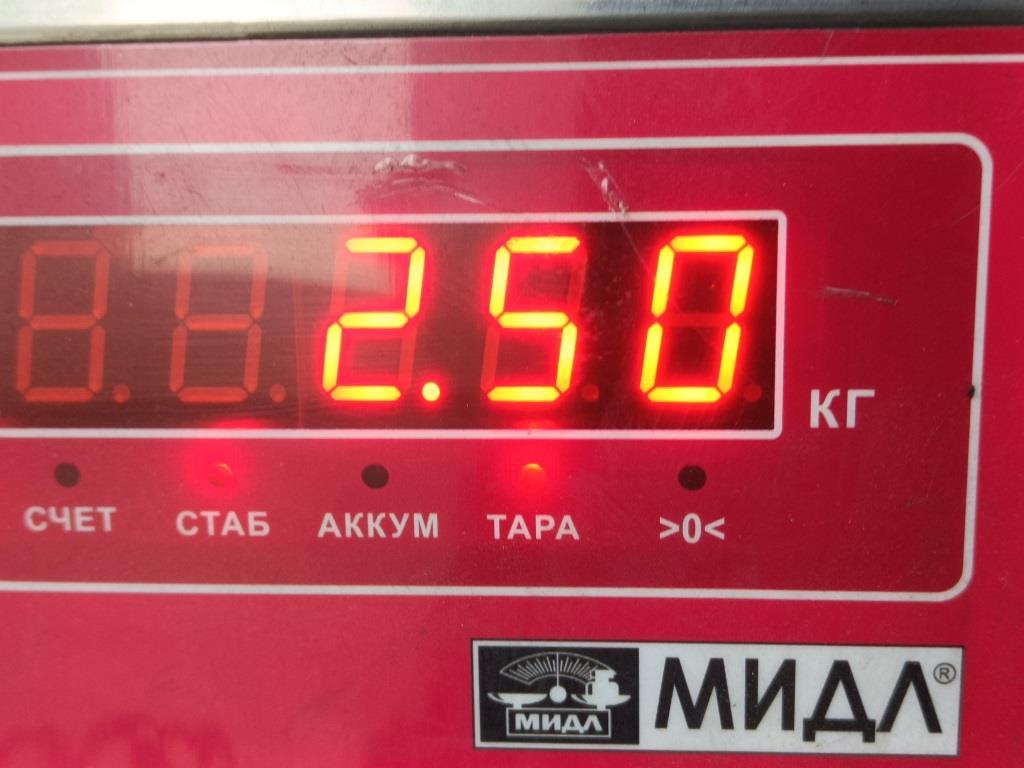 Пружина задняя