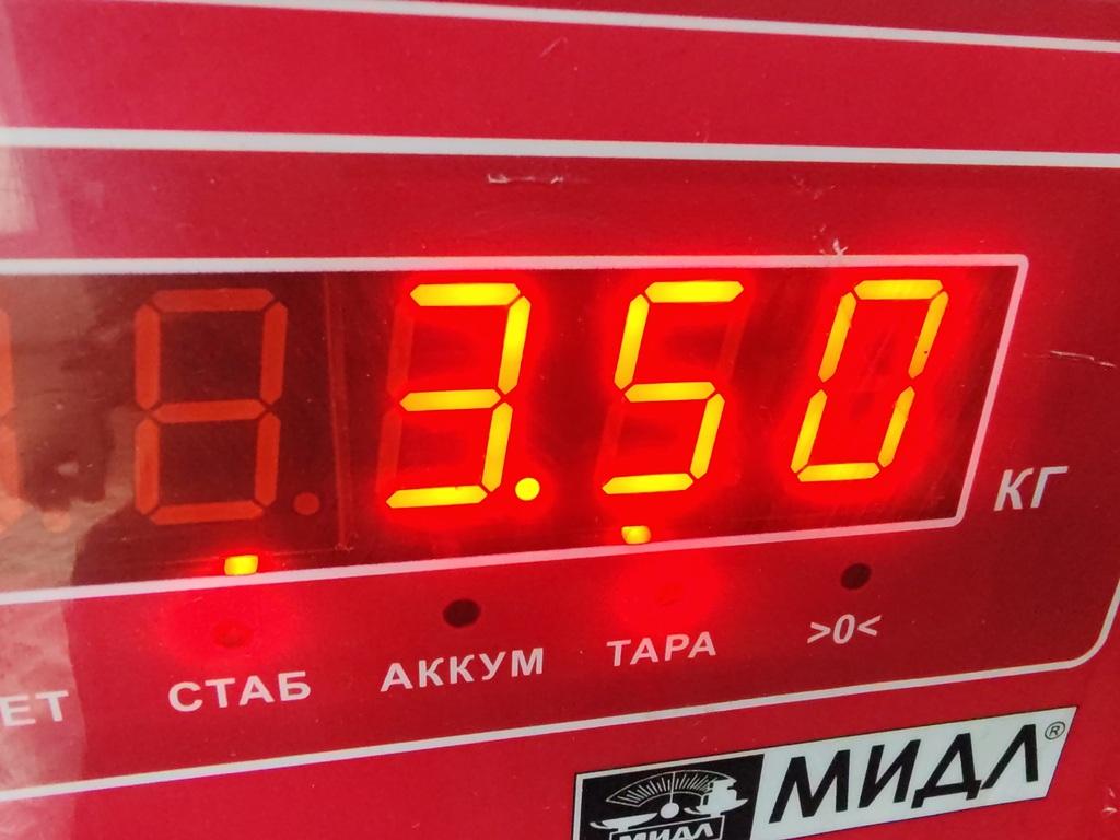 Стартер