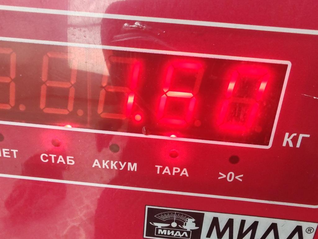 Опора двигателя