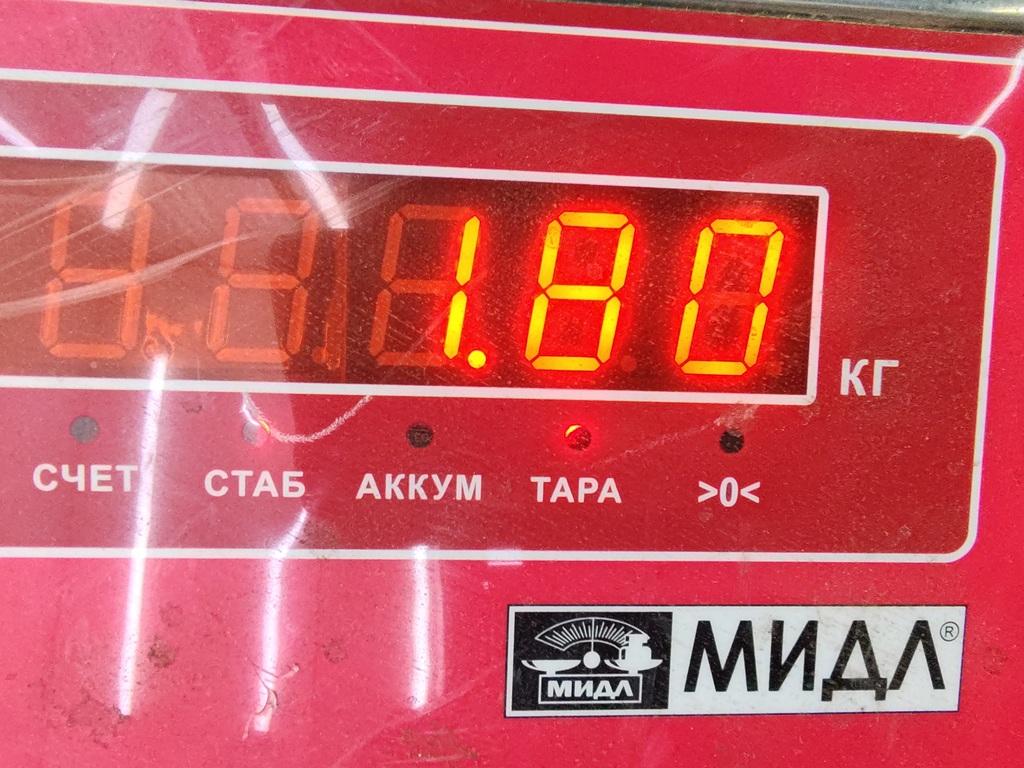 Пружина задняя