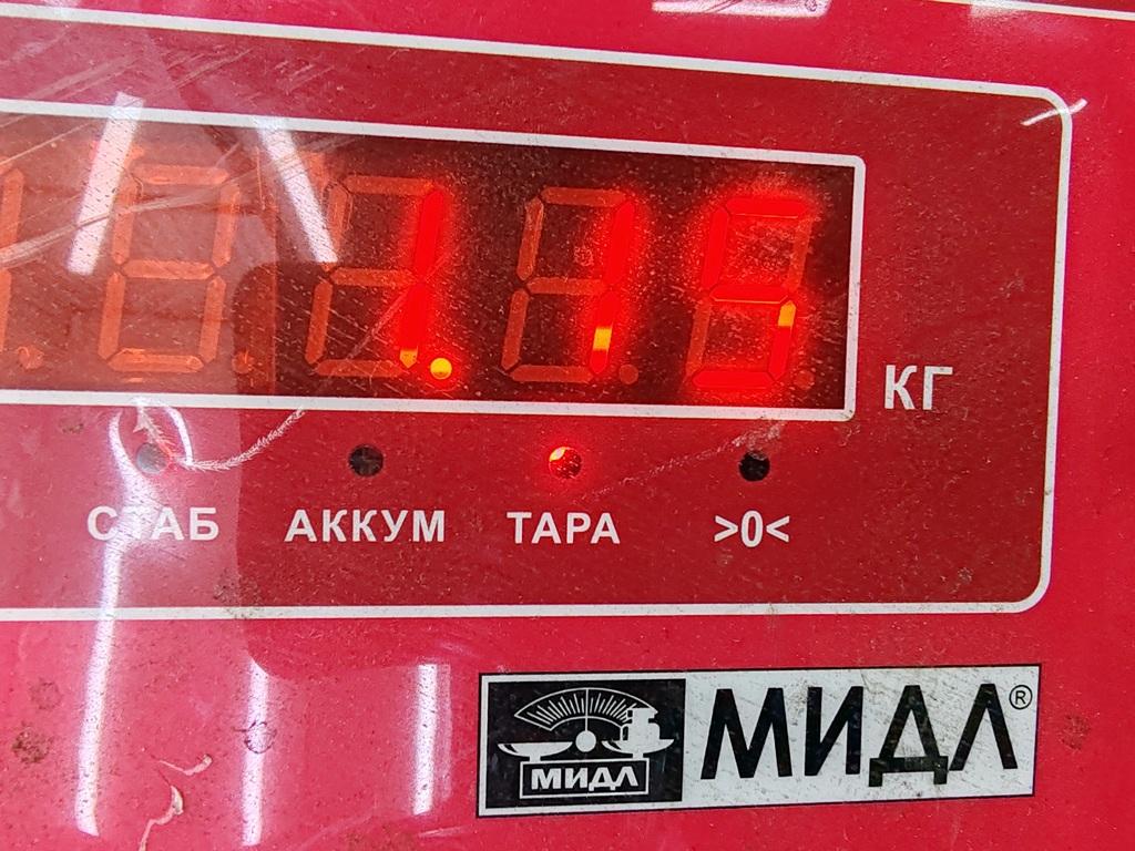 Амортизатор задний левый