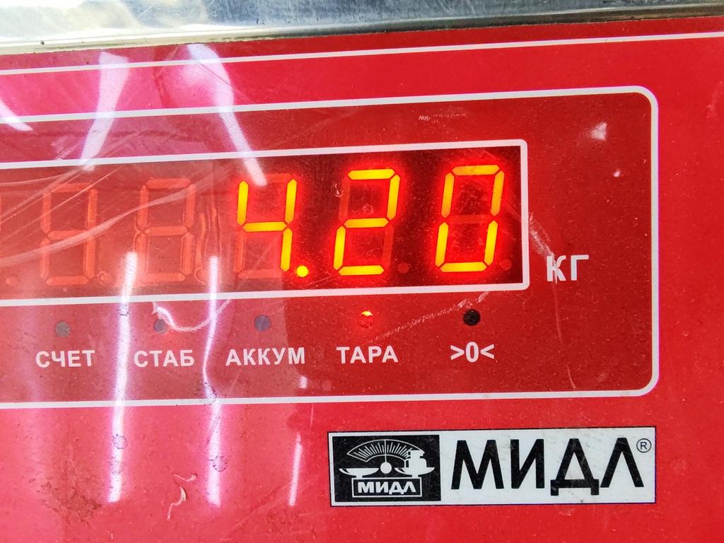 Суппорт передний левый