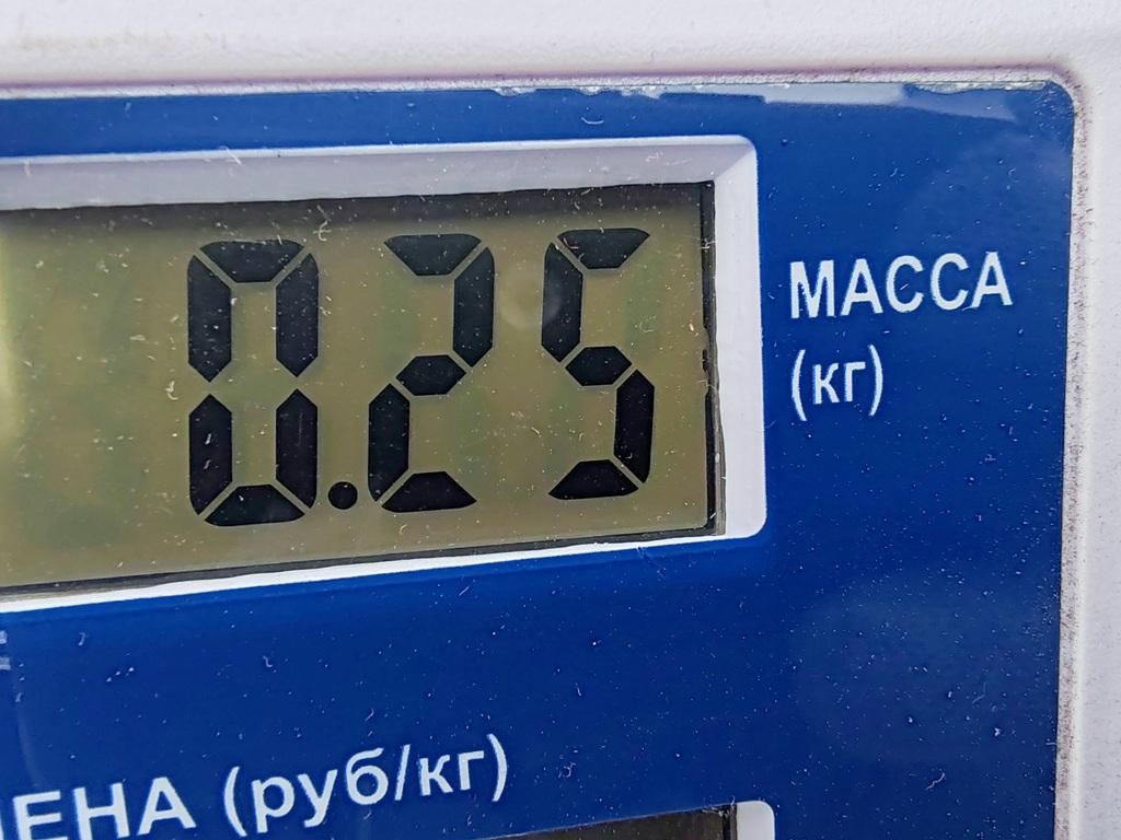 Фонарь задний в бампер правый
