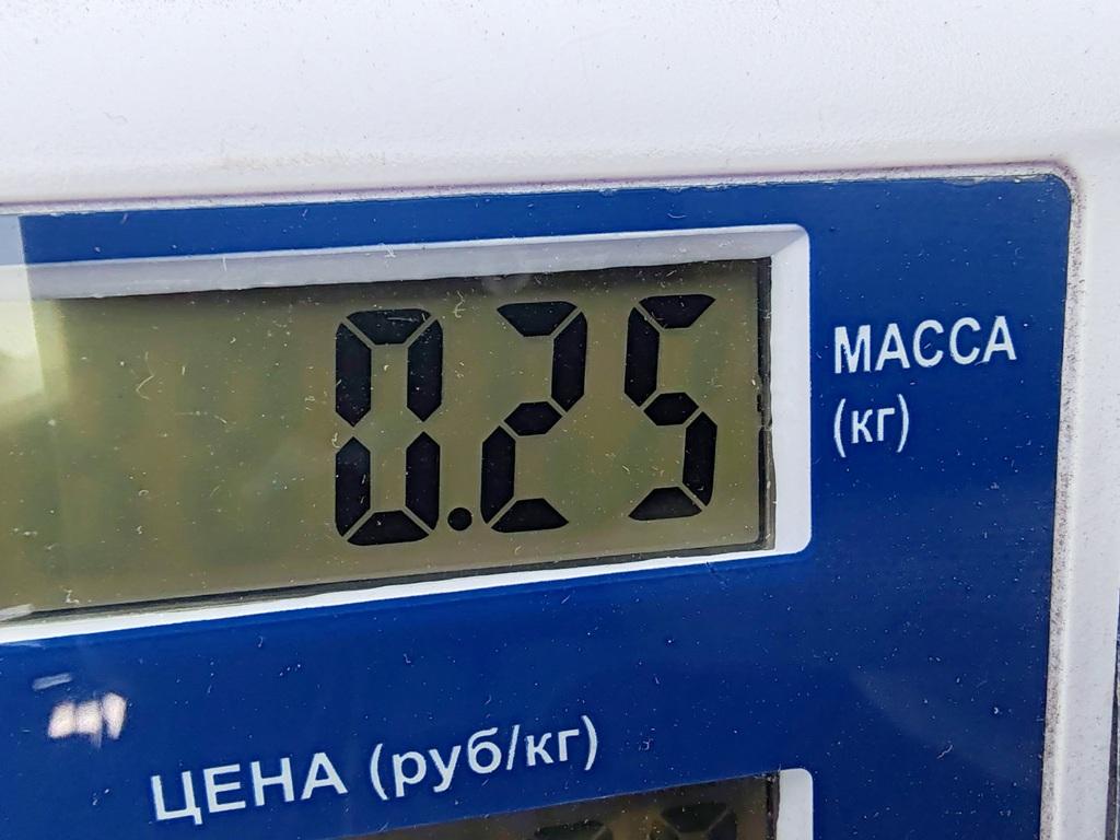 Фонарь задний в бампер левый