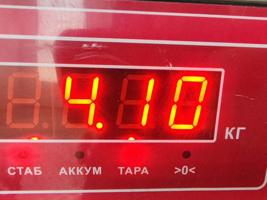 ТНВД (Топливный насос высокого давления)