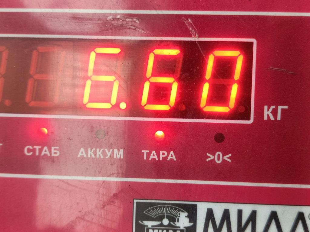 Генератор