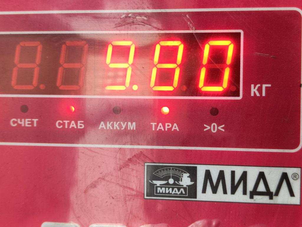 ТНВД (Топливный насос высокого давления)