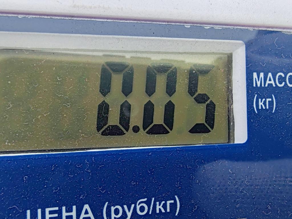 Форсунка омывателя лобового стекла